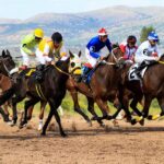 horses 4062298 1280