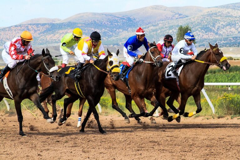 horses 4062298 1280