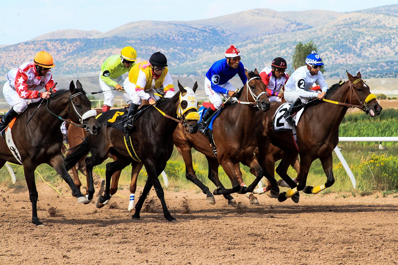horses 4062298 1280